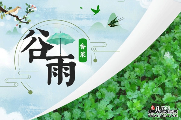 南方摘茶,北食香椿|谷雨吃什么传统食物