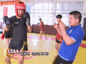 传统武术与散打_武术散打传统有哪些_武术散打运动