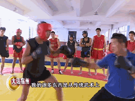 武术散打运动_传统武术与散打_武术散打传统有哪些