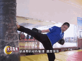 武术散打运动_传统武术与散打_武术散打传统有哪些
