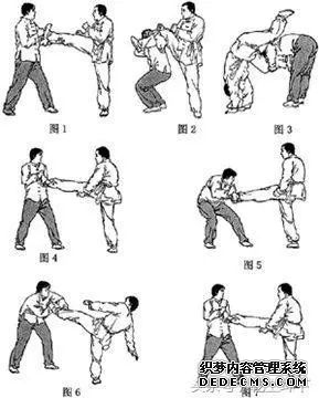 从技击角度看传统武术和现代散打